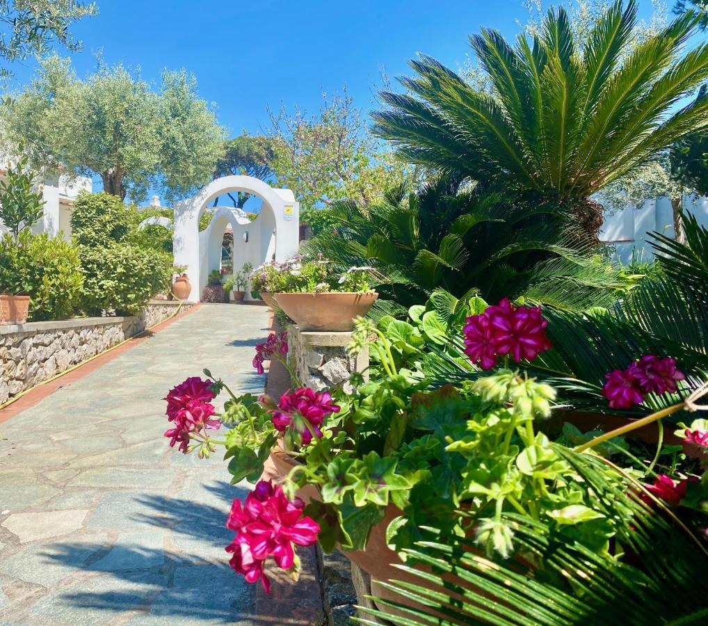 Gli Archi * Anacapri (Isola di Capri)